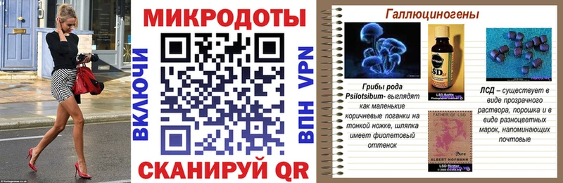 дарнет шоп  Тында  Псилоцибиновые грибы Psilocybine cubensis 